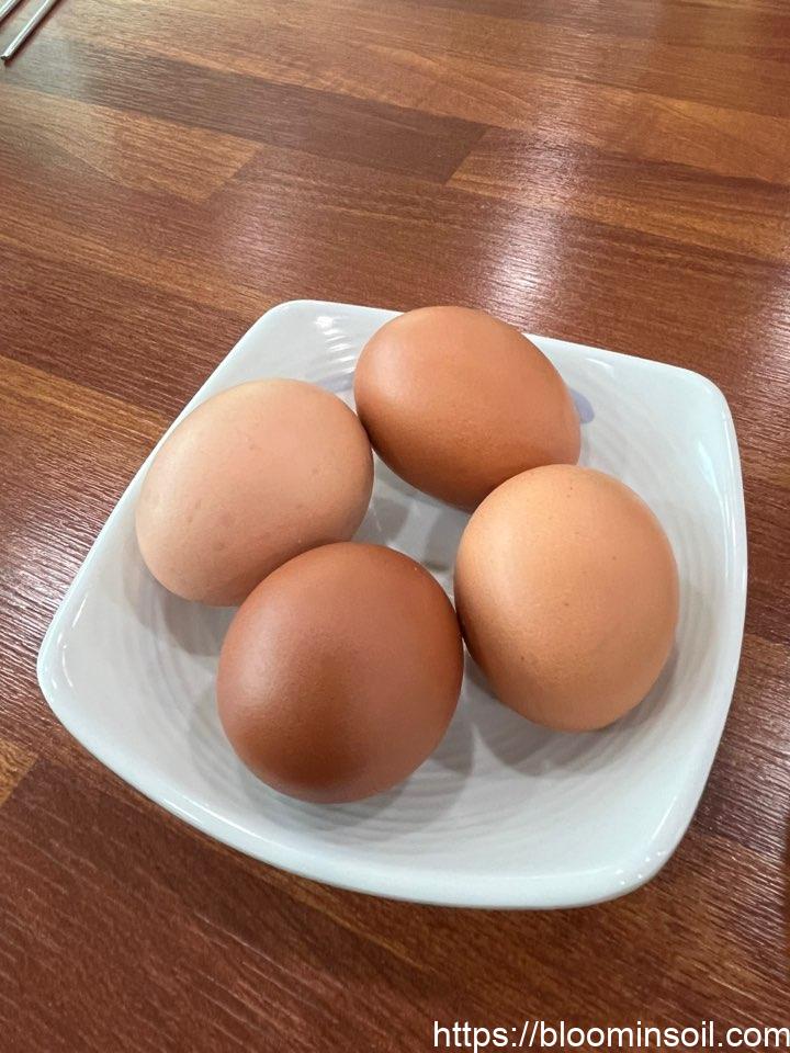 고박사냉면초계국수