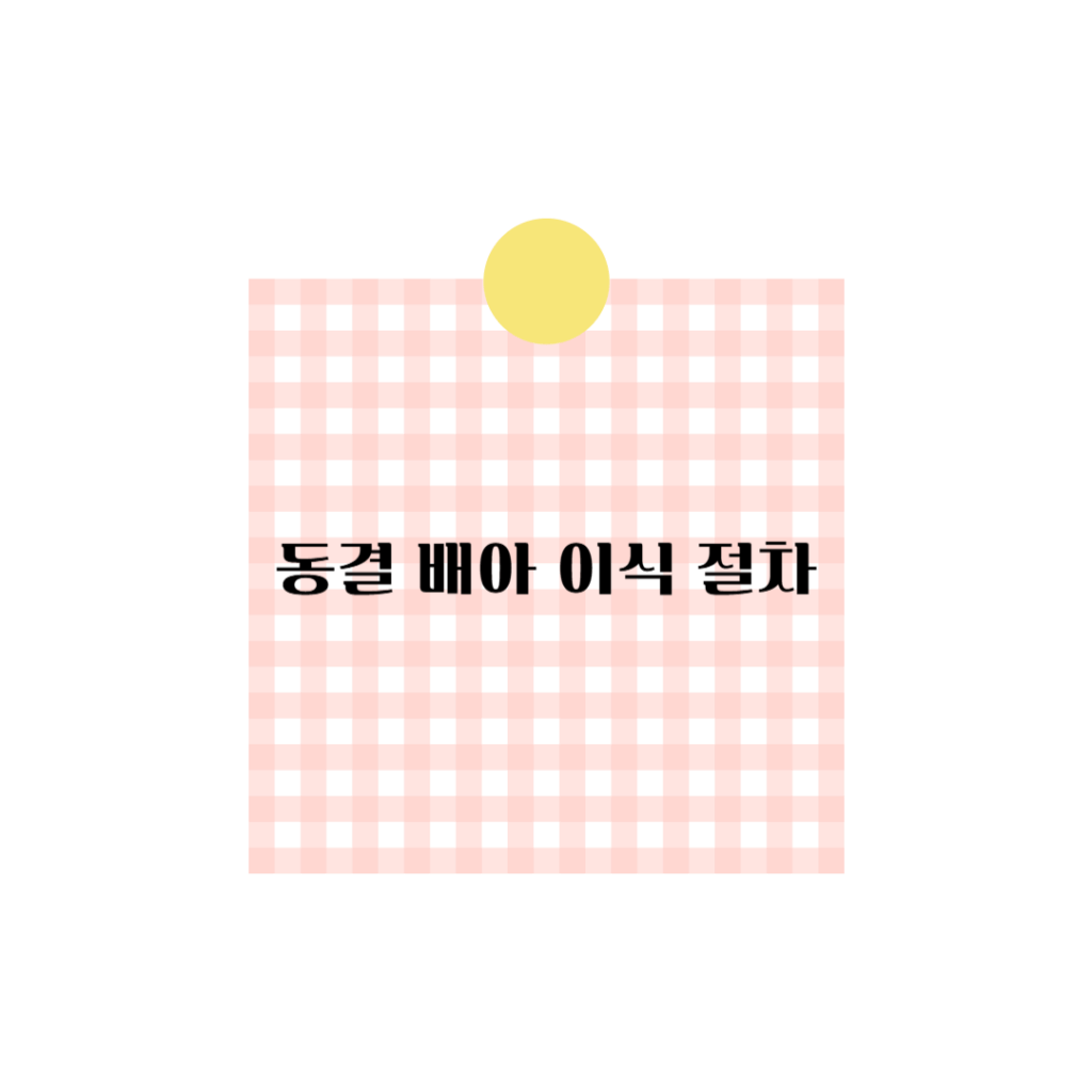 동결배아이식