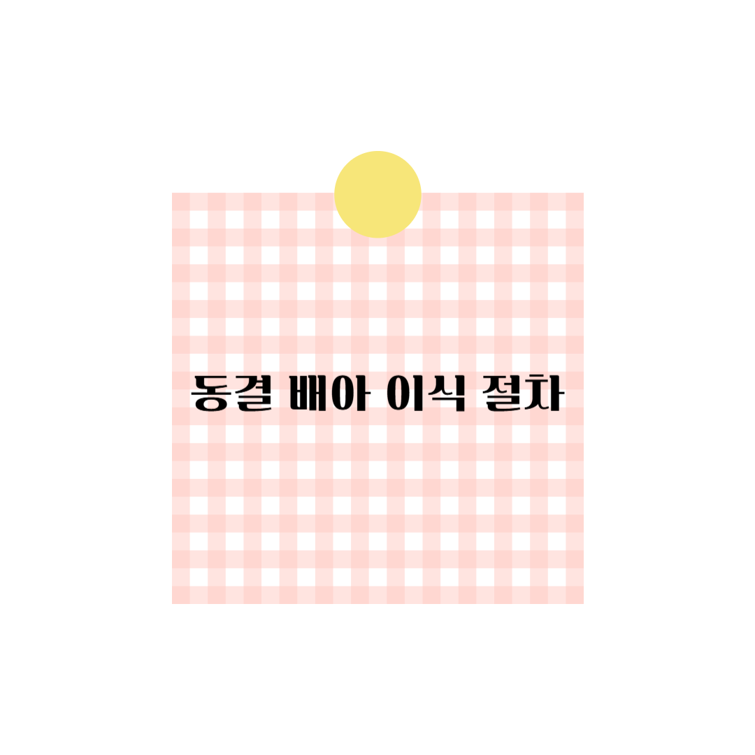 동결배아이식