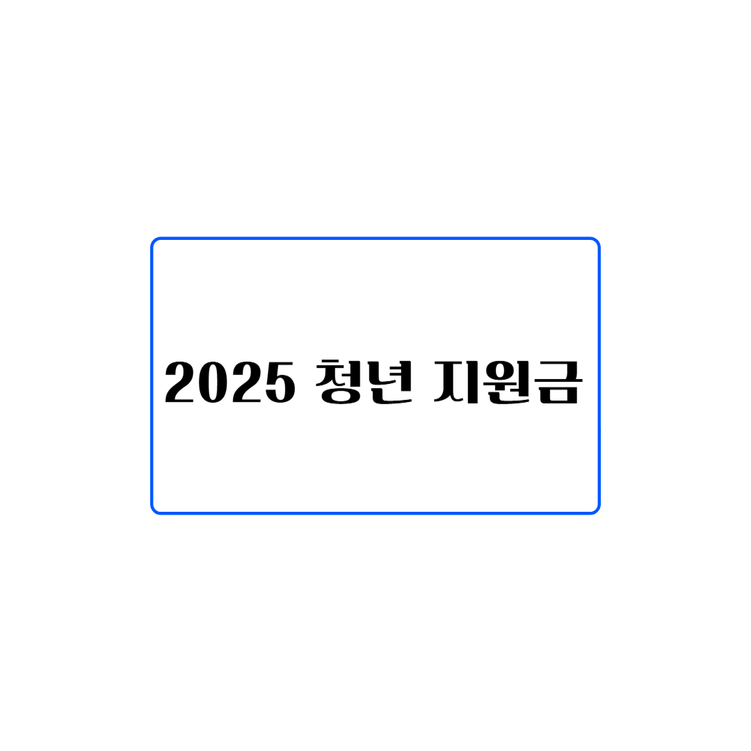 청년 지원금