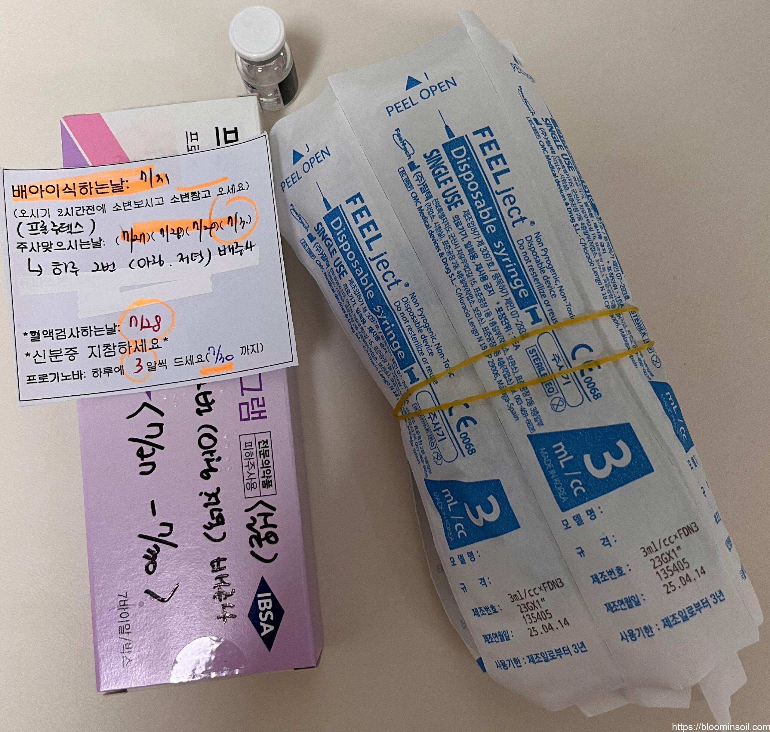 동결 이식