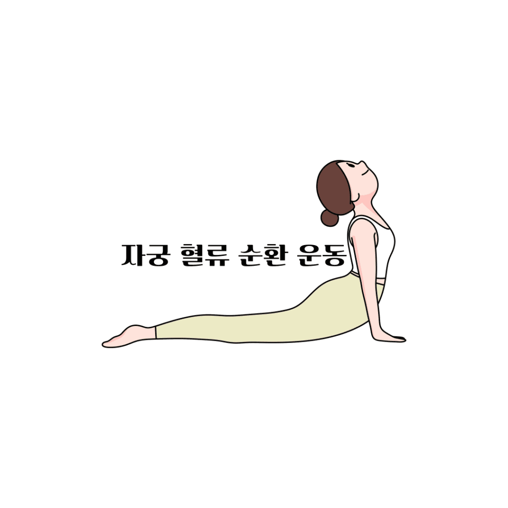 자궁 혈류 개선 운동